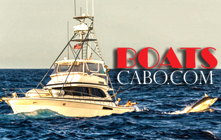 Cabo fishing charters