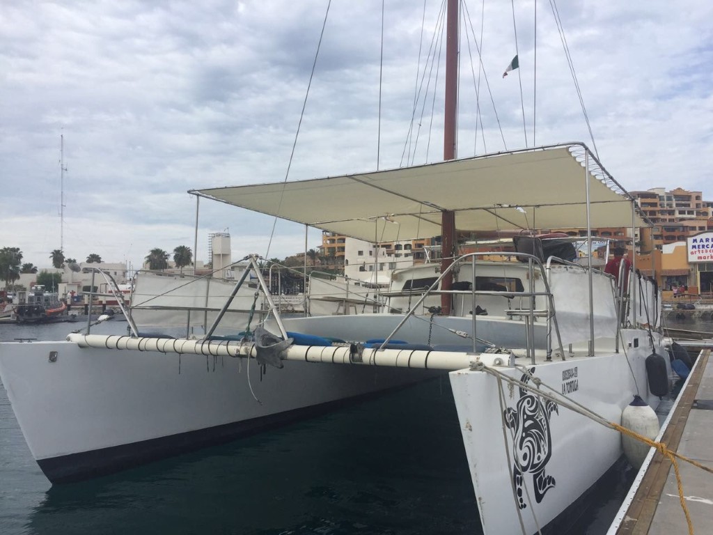 50' Cat deck